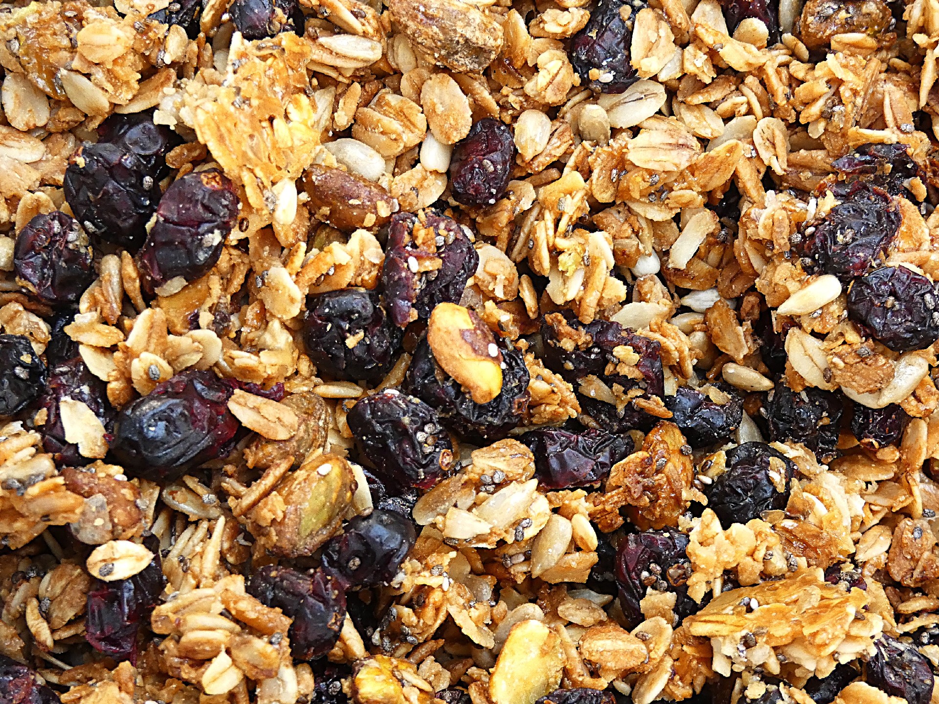 granola-arandanos